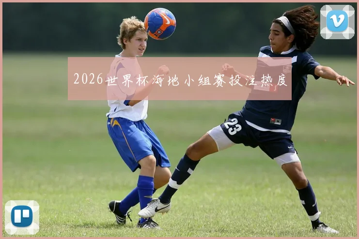 2026世界杯海地小组赛投注热度