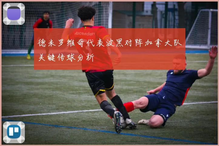 德米罗维奇代表波黑对阵加拿大队关键传球分析