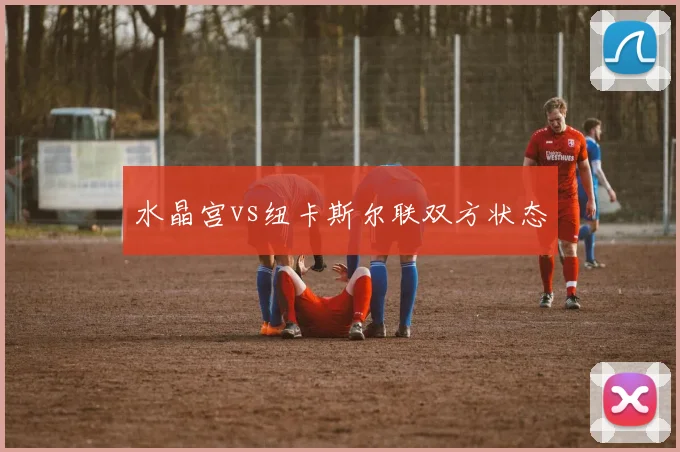 水晶宫vs纽卡斯尔联双方状态
