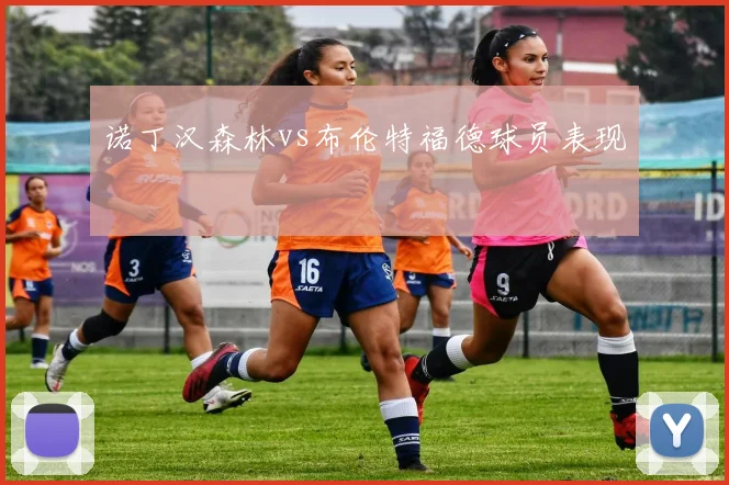 诺丁汉森林vs布伦特福德球员表现