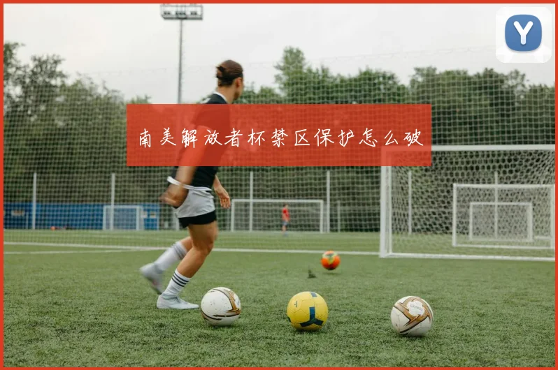 南美解放者杯禁区保护怎么破